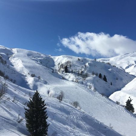 莱孔塔米讷蒙茹瓦Les Pierres Blanches Mont Blanc公寓 外观 照片