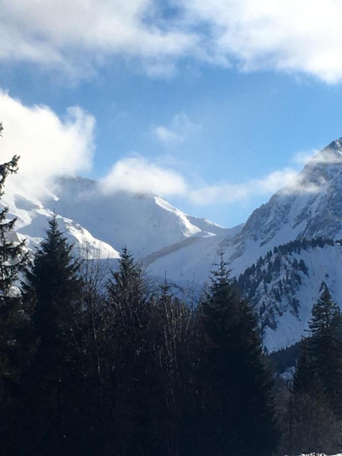 莱孔塔米讷蒙茹瓦Les Pierres Blanches Mont Blanc公寓 外观 照片